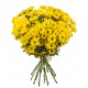 Buchet 15 crizanteme galbene